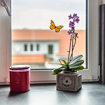 Elli Appartement